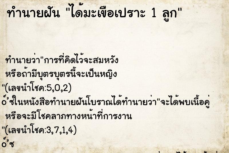 ทำนายฝันทำนายฝันได้มะเขือเปราะ1ลูก
